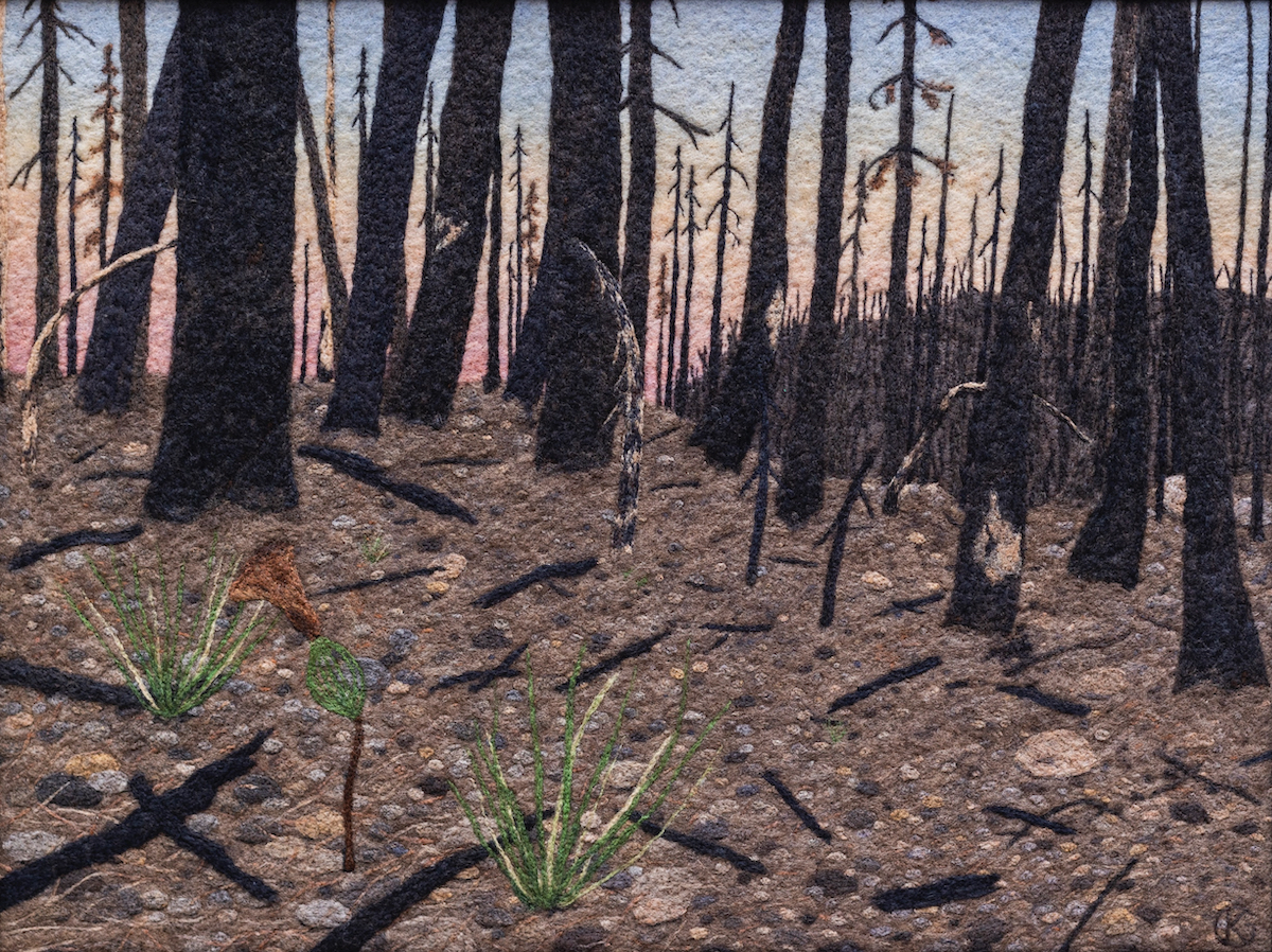 A felted wool artwork of a burnt forest at sunset. Charred trees stand out against the background, and fallen branches are scattered over the ground. In the foreground, next to two tufts of grass, is a pine seedling with its seed coat still attached, the only living tree in sight.